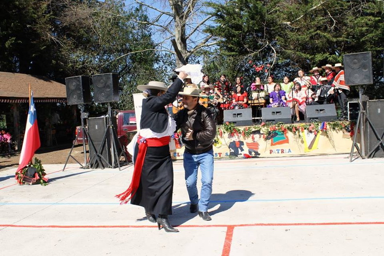 Fiesta Folclórica Escuela del Ciruelito Año 2015 (3)