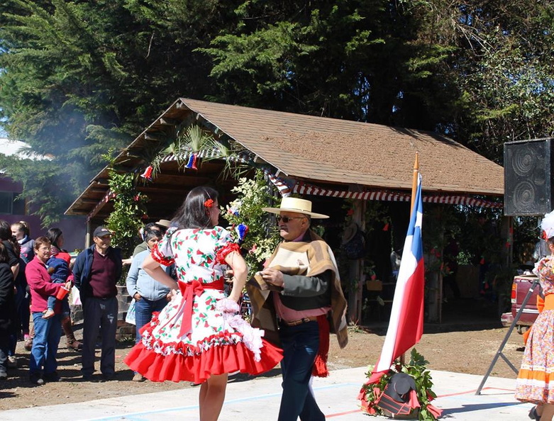 Fiesta Folclórica Escuela del Ciruelito Año 2015 (4).jpg