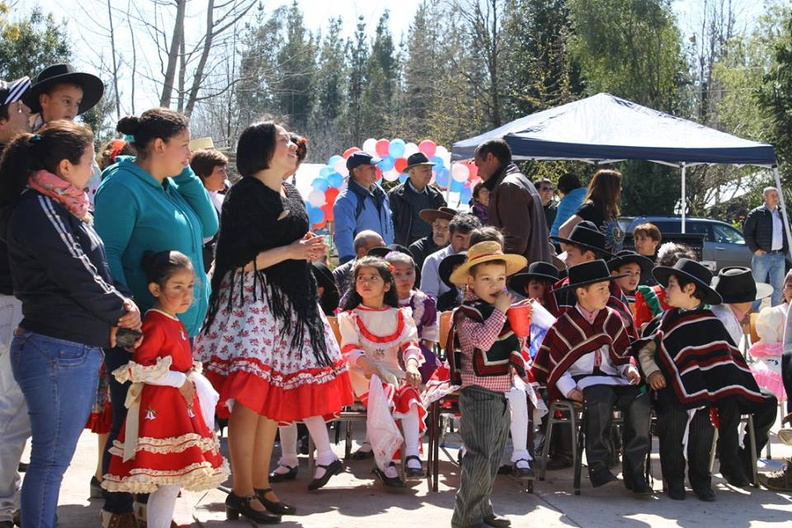 Fiesta Folclórica Escuela del Ciruelito Año 2015 (6)