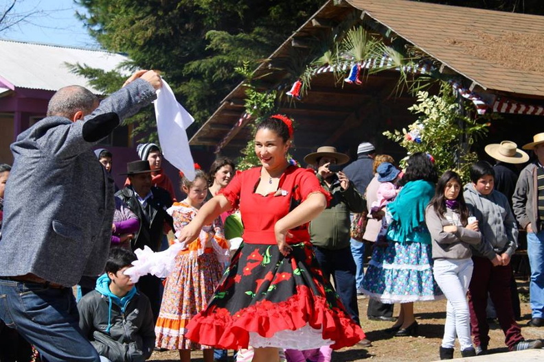 Fiesta Folclórica Escuela del Ciruelito Año 2015 (8)