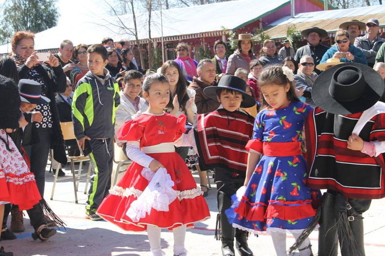 Fiesta Folclórica Escuela del Ciruelito Año 2015 (10)