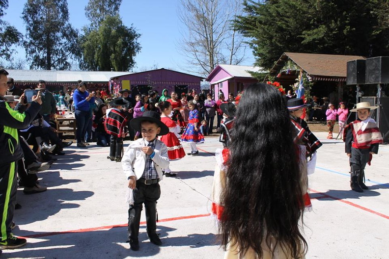 Fiesta Folclórica Escuela del Ciruelito Año 2015 (13)