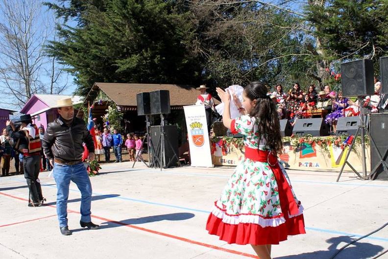 Fiesta Folclórica Escuela del Ciruelito Año 2015 (14)