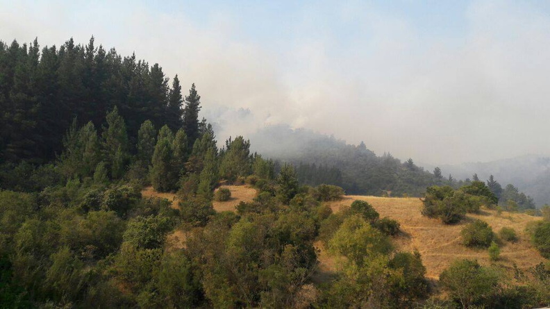 Alcalde de Pinto visita comunas afectadas por los incendios forestales 30-01-2017 (9)