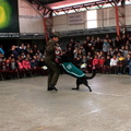 Carabineros de Chillán exhibe ejercicios de adiestramiento de sus perros en Escuela Puerta de la Cordillera de Pinto 24-04-2017 (6).jpg
