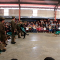 Carabineros de Chillán exhibe ejercicios de adiestramiento de sus perros en Escuela Puerta de la Cordillera de Pinto 24-04-2017 (7)