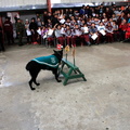 Carabineros de Chillán exhibe ejercicios de adiestramiento de sus perros en Escuela Puerta de la Cordillera de Pinto 24-04-2017 (10).jpg