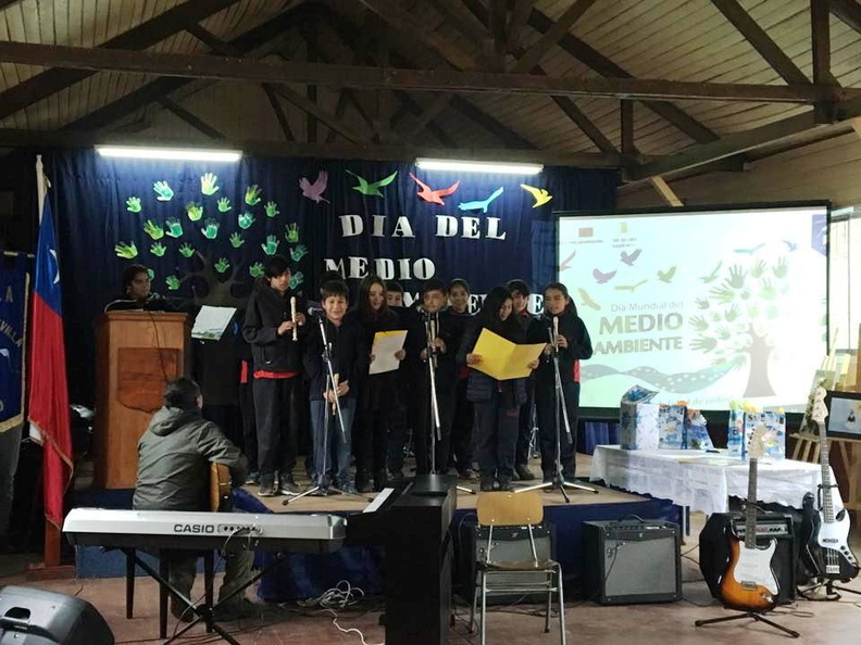 Municipalidad celebró el Día Mundial del Medio Ambiente en la Escuela José Tohá Soldevilla de Recinto 12-06-2017 (7)