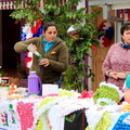 Fiesta de la Empanada se celebró en la localidad de Ciruelito junto al Grupo Folclórico Pehuen 11-09-2017 (14)