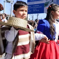 Desfile y acto folclórico conmemoró un nuevo Aniversario Patrio en la Plaza Fernando Chávez 18-09-2017 (22)