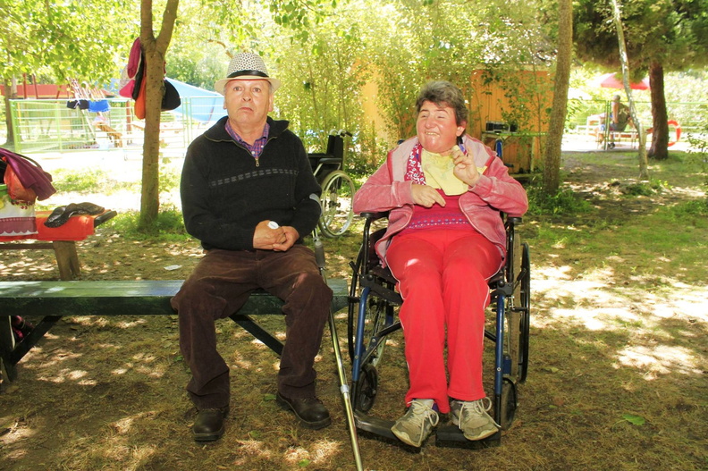 Agrupación de Discapacitados Pre-Cordillera realizó paseo de fin de año 11-12-2017 (2)