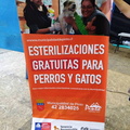 En el Gimnasio Municipal se realizó el operativo de esterilización con más de 150 mascotas de la Comuna de Pinto 20-01-2018 (1).jpg