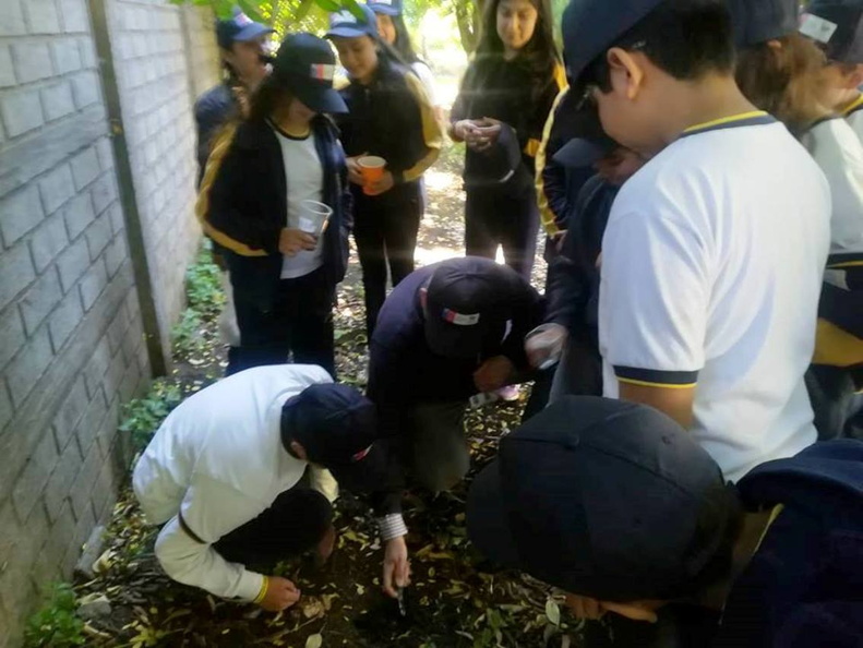 Cultivo de hortalizas fue enseñado en el Colegio Francisco de Asís 29-11-2018 (7)