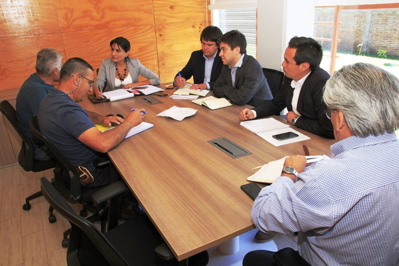 Gobernación del Diguillín realizó atención ciudadana en dependencias de la I. Municipalidad de Pinto 29-01-2019 (14)
