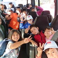 Niños y niñas de la Escuela de Verano viajan a Quillón en su última actividad 13-02-2019 (8)