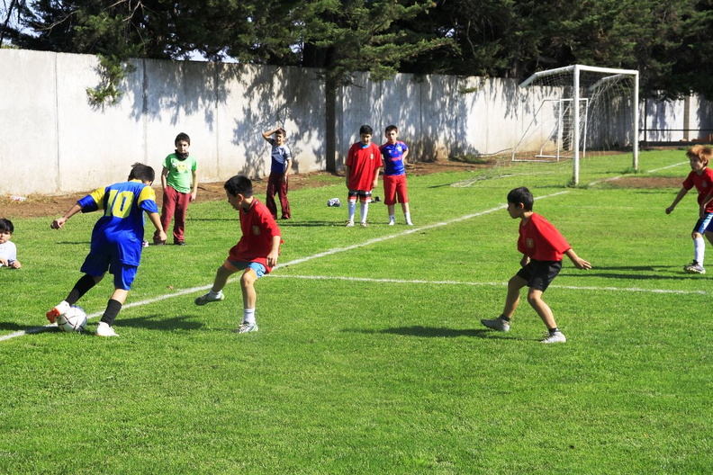 Campeonato escolar sub-12 y sub-14 de fútbol organizado por el DAEM 25-04-2019 (8).jpg
