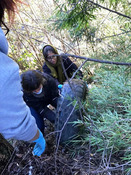 Voluntariado de la Universidad de Concepción realizó Escuela de invierno en Pinto  25-07-2019 (19).jpg