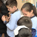 Charla sobre Tenencia Responsable de Mascotas fue realizada en la Escuela Juan Jorge 21-08-2019 (10).jpg