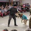 Charla masiva sobre Tenencia Responsable de Mascotas fue realizada en la escuela Puerta de la Cordillera 11-09-2019 (6).jpg