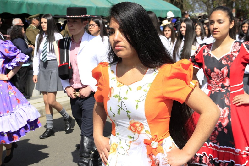 Desfile de Fiestas Patrias 17-09-2019 (494)