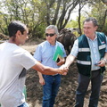 Fiscalización a propietarios que arriendan caballos en el sector de Valle Las Trancas 17-01-2020 (6).jpg