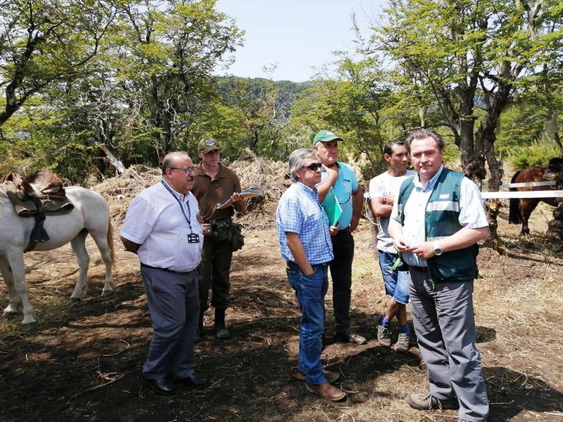 Fiscalización a propietarios que arriendan caballos en el sector de Valle Las Trancas 17-01-2020 (8).jpg