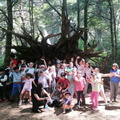 Trekkin y visita al Bosque Vivo disfrutaron los Niños(as) de la Escuela de Verano 21-01-2020 (9).jpg