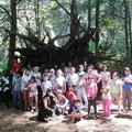 Trekkin y visita al Bosque Vivo disfrutaron los Niños(as) de la Escuela de Verano 21-01-2020 (10).jpg
