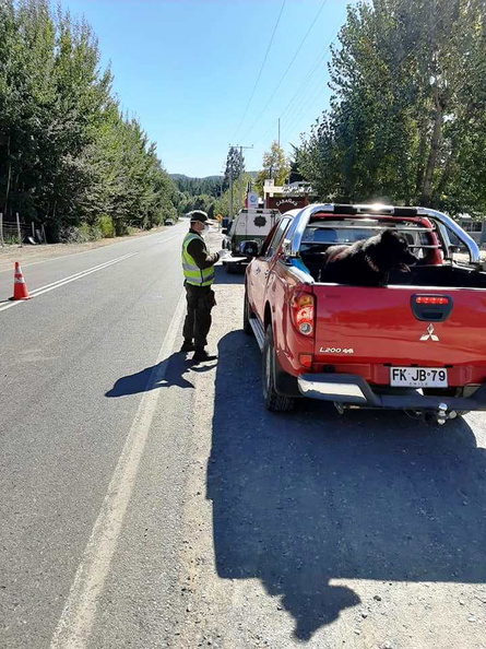 Carabineros de Chile realiza fuerte fiscalización vehicular en Pinto 05-04-2020 (4).jpg