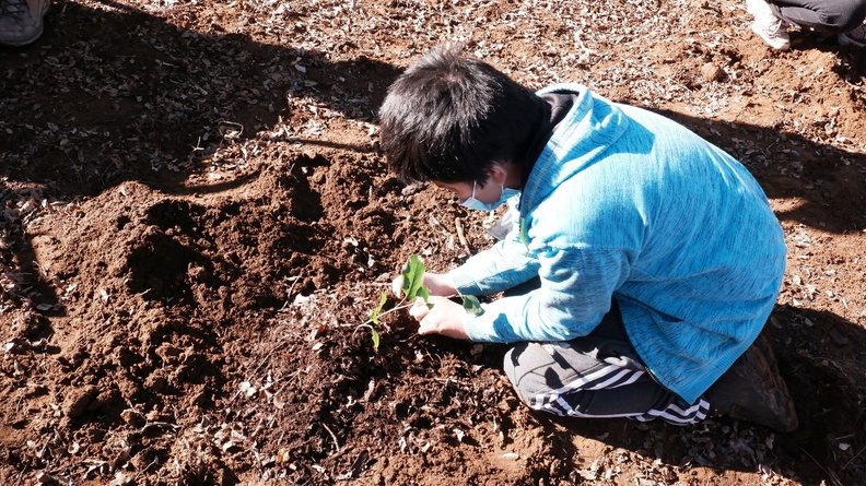Trasplante de árboles nativos por estudiantes de educación 30-06-2021 (17)