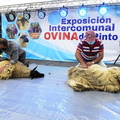 XVII Exposición Intercomunal Ovina de Pinto 08-11-2021 (102).jpg