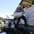 Entrega de concentrado de alimentos en sacos de 25 kilos para ganadería a ganaderos de Pinto 17-12-2021-2 (2)