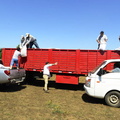 Entrega de 1.225 sacos de pellets de alfalfa para el ganado de 49 agricultores 26-01-2022-2 (27).jpg