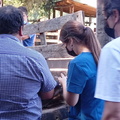 Programa Mascota Protegida de la Subdere se presenta en Pinto junto al famoso veterinario Sebastián Jiménez 09-02-2022 (8).jpg
