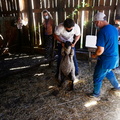 Programa Mascota Protegida de la Subdere se presenta en Pinto junto al famoso veterinario Sebastián Jiménez 09-02-2022 (21).jpg