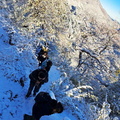 Trekking en la nieve ruta Los Pangues y Cascada Rucapiren 12-06-2023 (9)