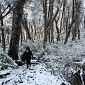 Trekking en la nieve ruta Los Pangues y Cascada Rucapiren 12-06-2023 (12)