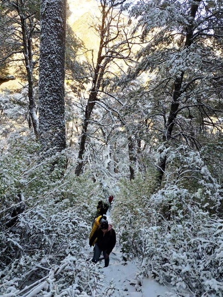 Trekking en la nieve ruta Los Pangues y Cascada Rucapiren 12-06-2023 (15).jpg
