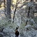 Trekking en la nieve ruta Los Pangues y Cascada Rucapiren 12-06-2023 (15)