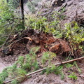 Despliegue de equipos de emergencia municipal por las intensas lluvias que afectaron a la comuna 24-06-2023 (5)