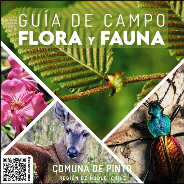 Lanzamiento oficial del libro “Guía de Campo Flor y Fauna” 24-07-2023 (15).jpg