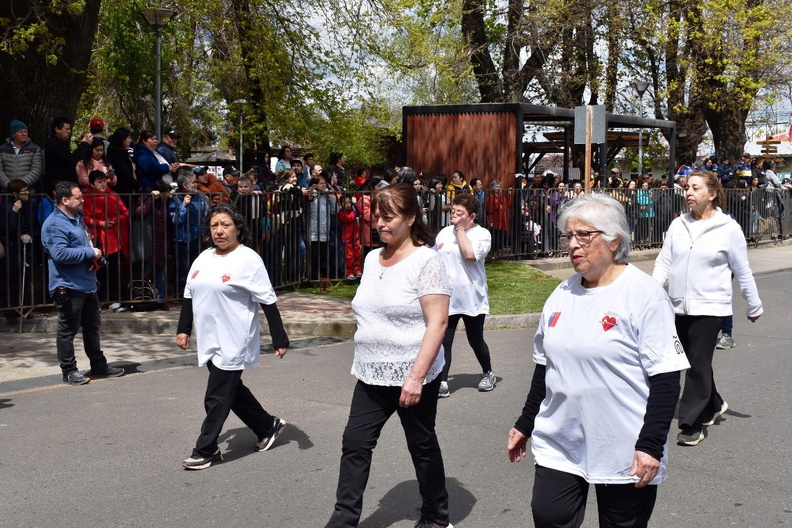 Desfile en el marco del Aniversario Nº 163° de la comuna de Pinto 11-10-2023 (447)