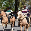 Desfile en el marco del Aniversario Nº 163° de la comuna de Pinto 11-10-2023 (634)