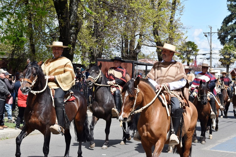 Desfile en el marco del Aniversario Nº 163° de la comuna de Pinto 11-10-2023 (656).jpg