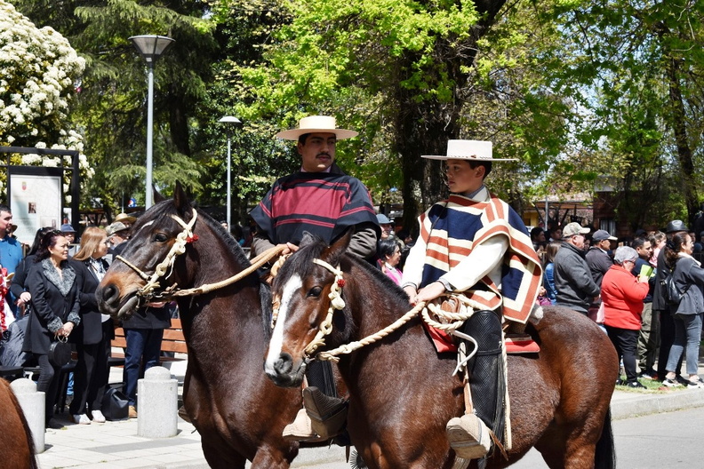 Desfile en el marco del Aniversario Nº 163° de la comuna de Pinto 11-10-2023 (658).jpg