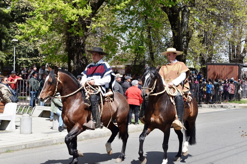 Desfile en el marco del Aniversario Nº 163° de la comuna de Pinto 11-10-2023 (661)