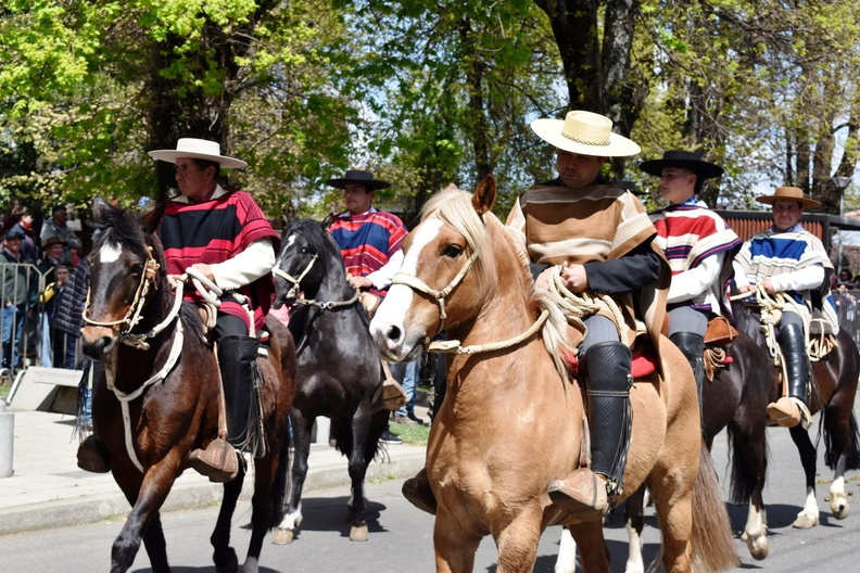 Desfile en el marco del Aniversario Nº 163° de la comuna de Pinto 11-10-2023 (662).jpg