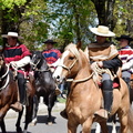 Desfile en el marco del Aniversario Nº 163° de la comuna de Pinto 11-10-2023 (662)