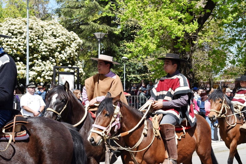 Desfile en el marco del Aniversario Nº 163° de la comuna de Pinto 11-10-2023 (666)