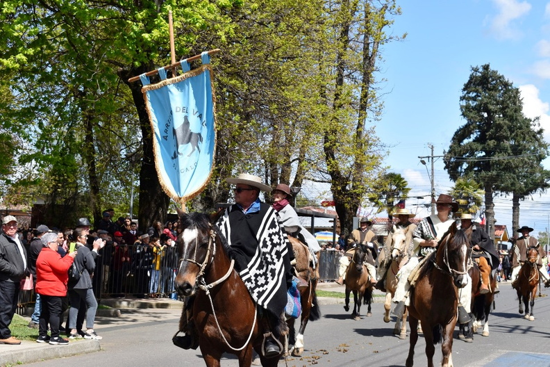 Desfile en el marco del Aniversario Nº 163° de la comuna de Pinto 11-10-2023 (668)